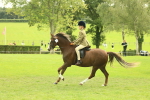 SBM_69882
