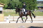 351-TRINITY_CAVALIER-Henrietta_Horsley-gubbins-WEDTrotUp+DR portfolio