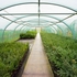 Nursery 2