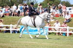 3E7A9781