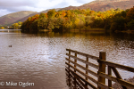 Grassmere Autumn Colour