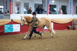 SBM_17181