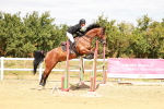 SBM_006176