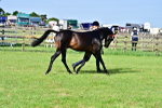 SBM_01083