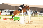 SBM_010213