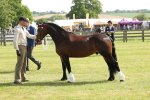 SBM_02152