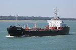 160815 WHITONIA Y92A3726