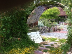 Clive Farrell portfolio