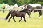 SBM_03508
