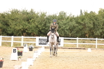SBM_003187