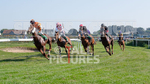 Guernsey Race Club Horse Racing 2018-31