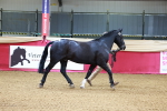 SBM_00536