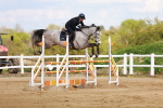 SBM_002295