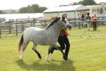 SBM_00463