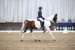 SBM_01493