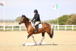SBM_007905