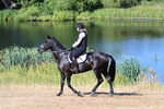 WJ7_6952
