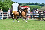 SBM_08007