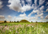 Silbury Hill Summer 2