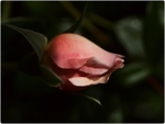 MU_034