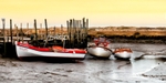 Seal trips - Blakeney - Norfolk