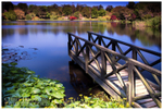 Mount Stewart (IMG0226)