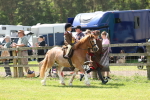 SBM_05304