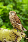 0628 IMG_6496
