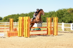 SBM_006686