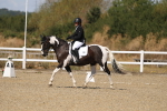 SBM_013657