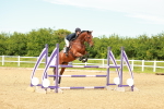 SBM_002201