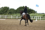 SBM_002216