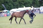 SBM_11452