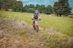 DSCF0334