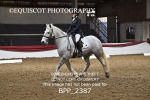 BPP_2387