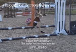 BPP_0940