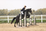 SBM_002014