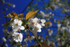 APRIL 2015 -4