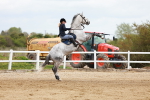 SBM_002528