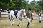 Class 9 Tack & Turnout portfolio