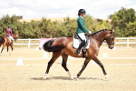 SBM_009818
