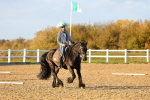 SBM_003273