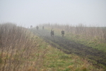 WJ6_7025