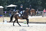 Class 14 Intermediate I GOLD portfolio