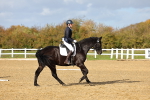 SBM_002196