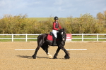 SBM_000781