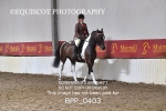 BPP_0403