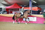 SBM_07623