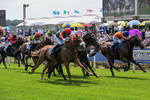 100726-Race 1-Northern Express-9387