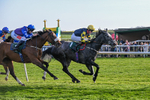 Race 8 portfolio